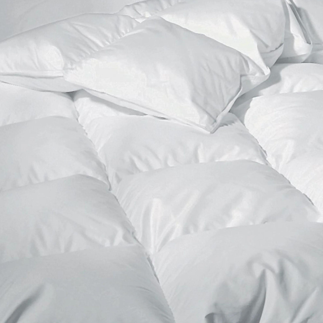 Regency Down Winter Comforter